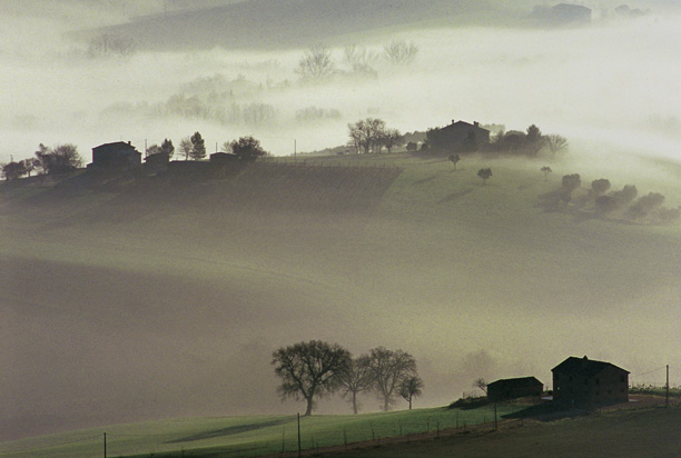An Image Slideshow